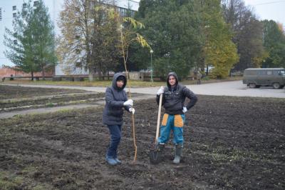 В мценском парке высадили деревья