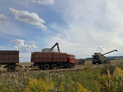 Начальник отдела сельского хозяйства и продовольствия администрации Мценского района Любовь Курина рассказала о работе аграриев в 2023 году